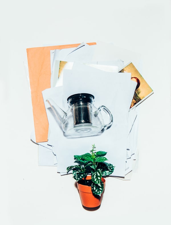 Everywhere We Shoot, Papers, 2016