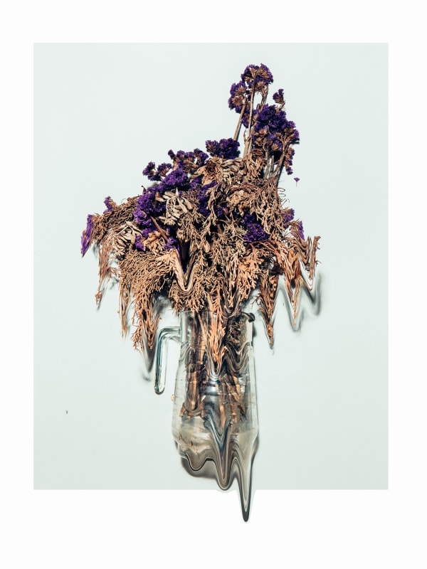 Everywhere We Shoot, Flowers, 2016