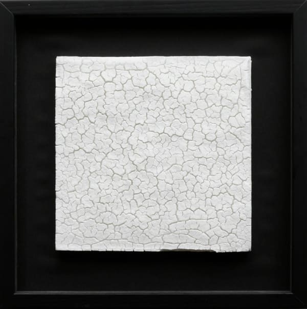 Koji Shiraya, After the rain (No. 19), 2016-2022