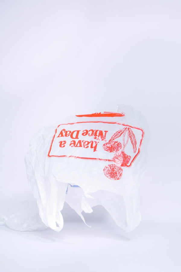 Everywhere We Shoot, Have a Nice Day, 2016