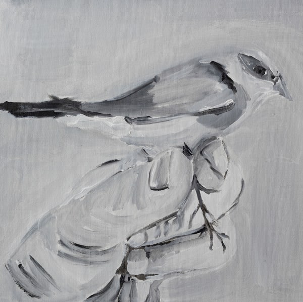 Simone Maestra, Bird, 2023