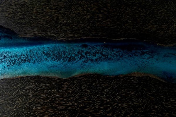 WANG Suo Yuan, Timeless 10, 2020