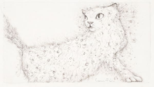 LEONOR FINI, L'Olpa