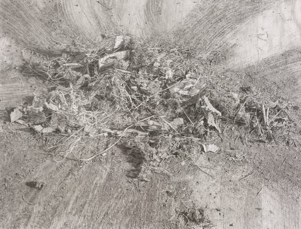 CATHERINE MURPHY, SWEPT UP, 1999