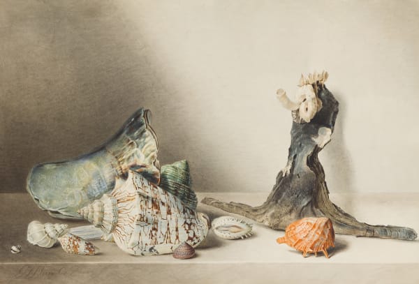 GEORGIUS JACOBUS JOHANNES VAN OS, Still life with shells and coral, 1813