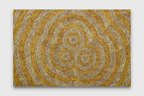 Kapi Tjukurrpa 14, 2024