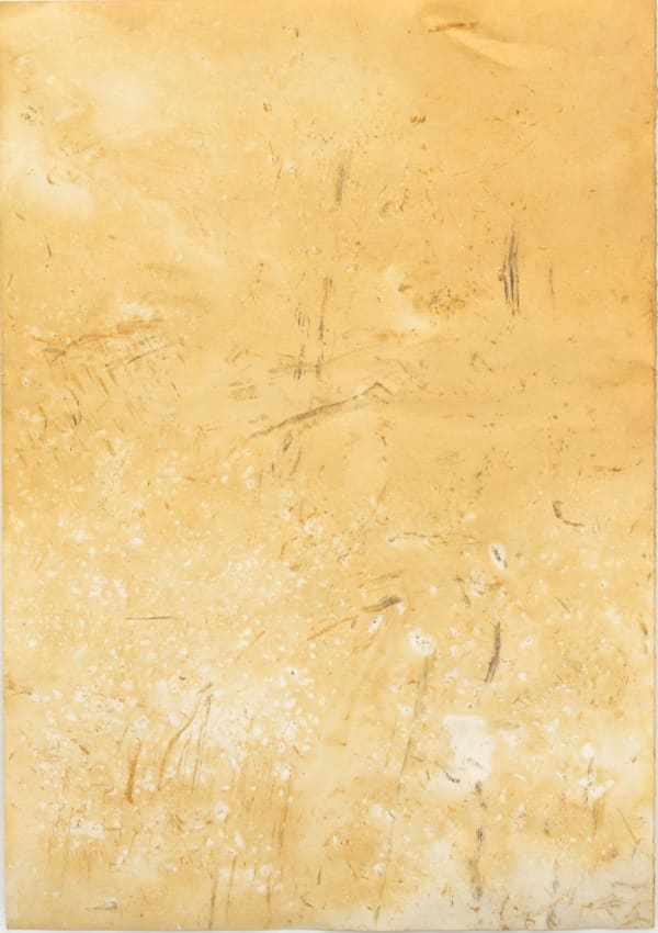 Orange creek, Bundanon, No. 1, 2022