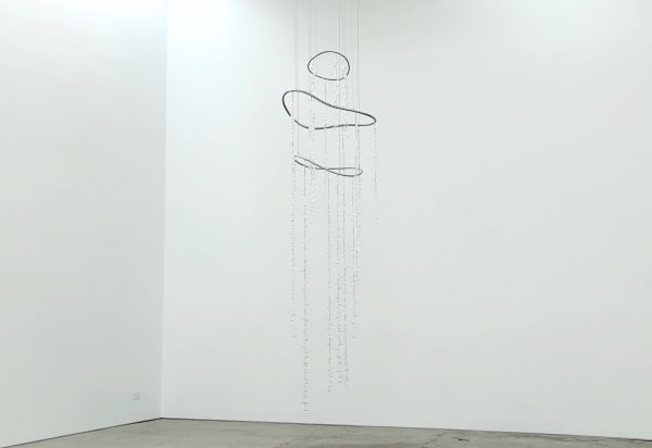 Anna May Kirk Whale Fall (II), 2025 Flameworked borosilicate glass, Pacific Ocean water, stainless steel, paint, steel wire, nickel crimps 290 x 55 x 75 cm 114 1/8 x 21 5/8 x 29 1/2 in