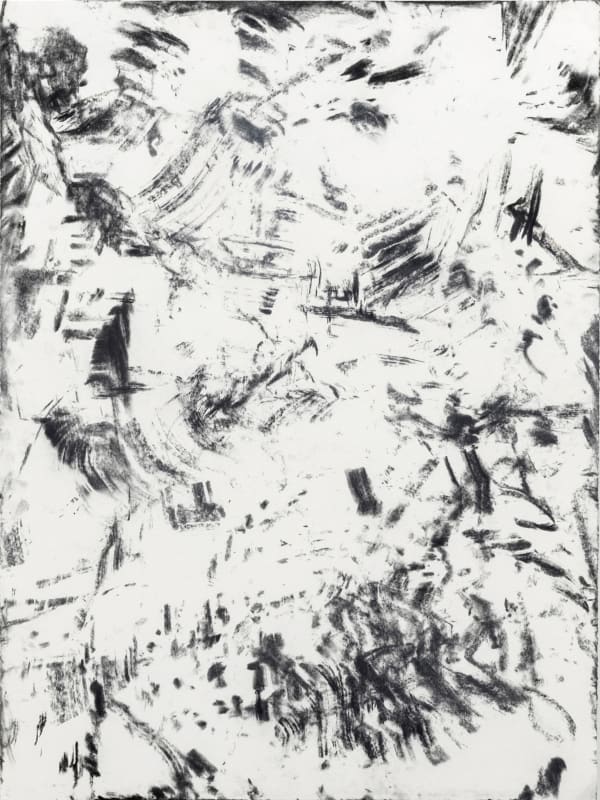 Bushfire tree drawings/rubbings, Bundanon, No.2, 2022