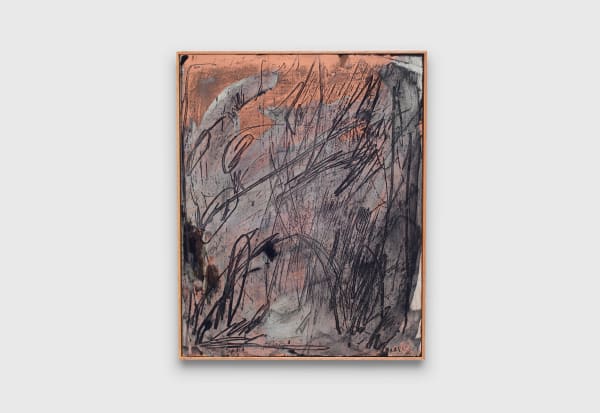 Echo, 2019