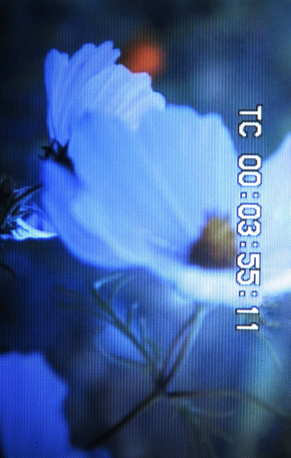 TC00035511, 2015