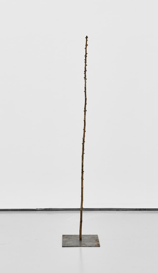 The Garden of Eden III, 2017