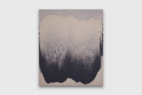 Oliver Wagner Reconstructed Painting 85, 2025 house paint dust on linen 198 x 167.5 cm 78 x 66 in