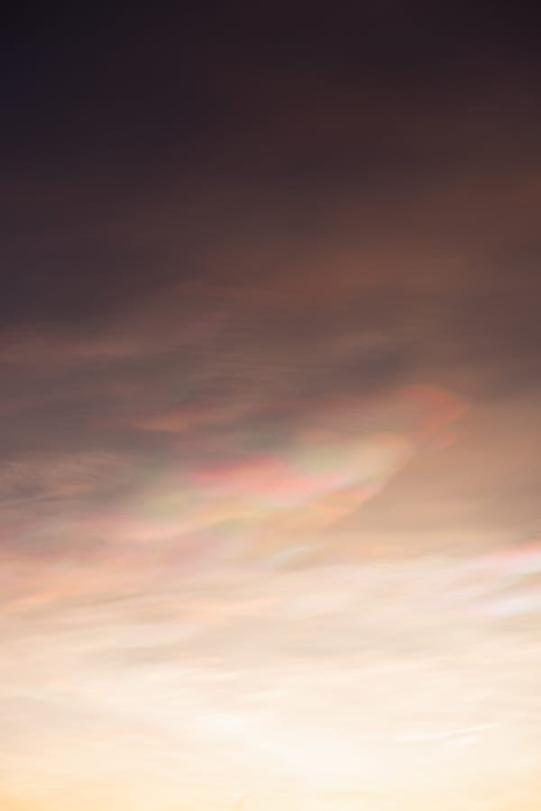 Mother of pearl, 2024