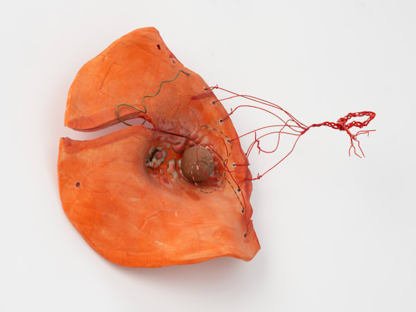 Jing Ao, Seeds, 2025