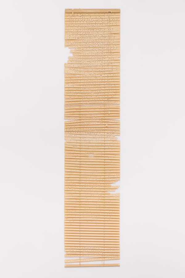 Ty Locke, Blind Letter, 2024