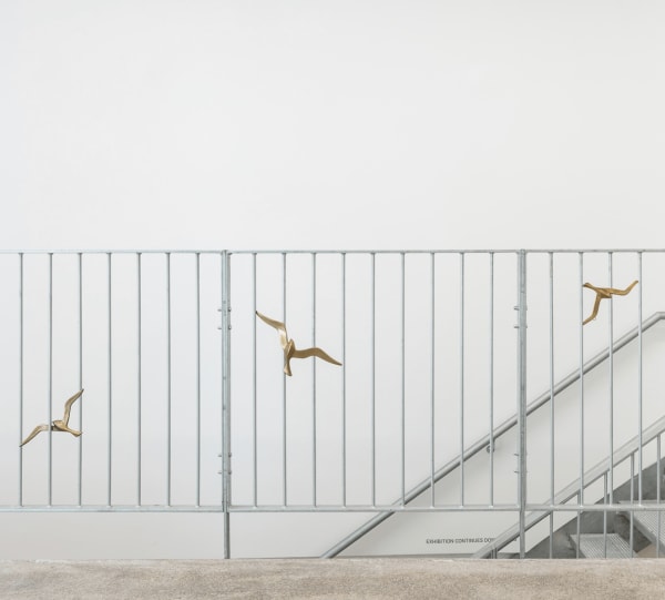 Gleb Amankulov, Birds, 2024
