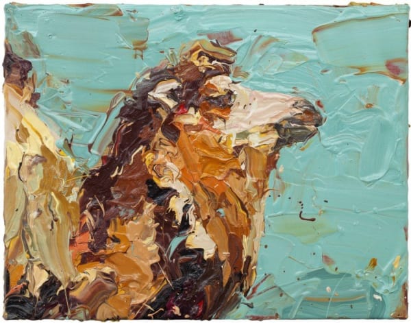 Paul Richards, Camel Head Sideways, 2010