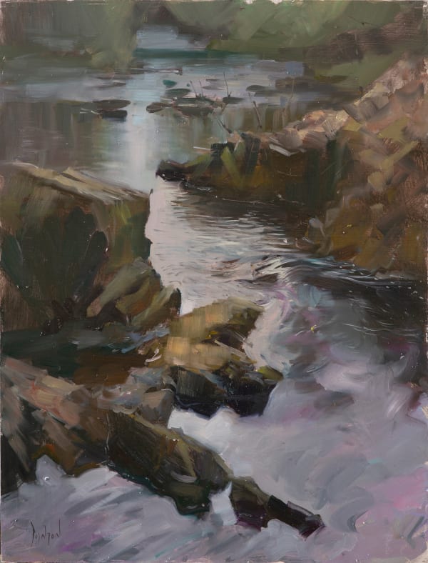 Rob Pointon ROI, Below Skelwith Force