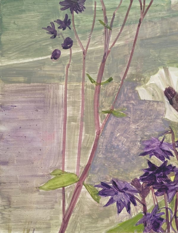 Linda Schwab, Aquilegias and white poppy