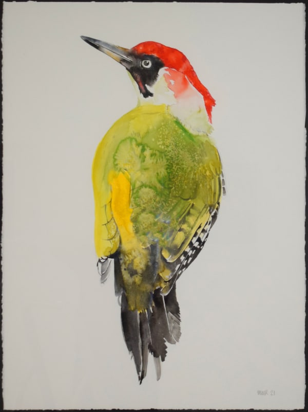 Jim Moir, Green Woodpecker