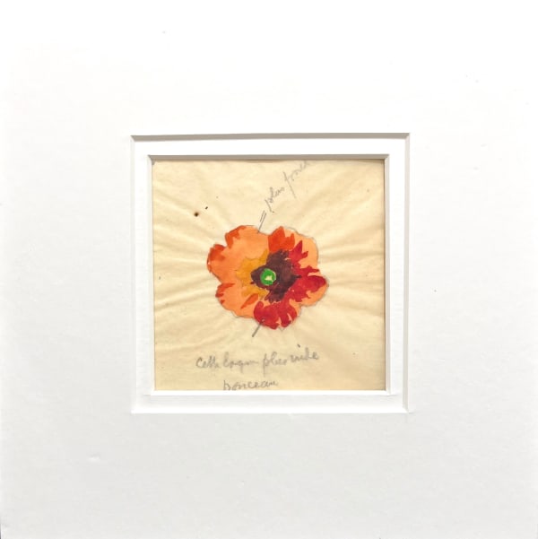 Pierre Adolphe Valette, Single Poppy