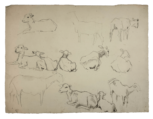 Pierre Adolphe Valette, Sheep 5