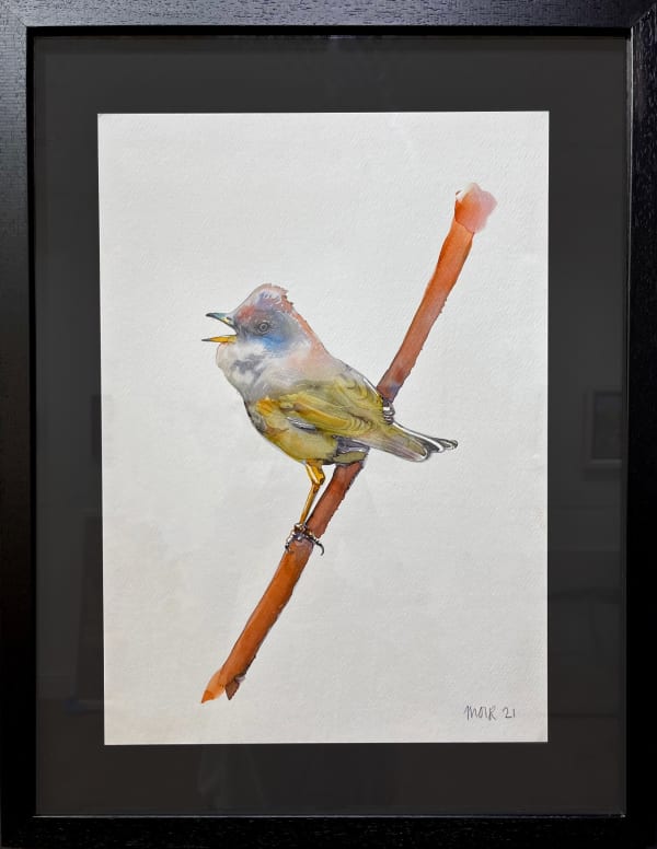 Jim Moir, Whitethroat II