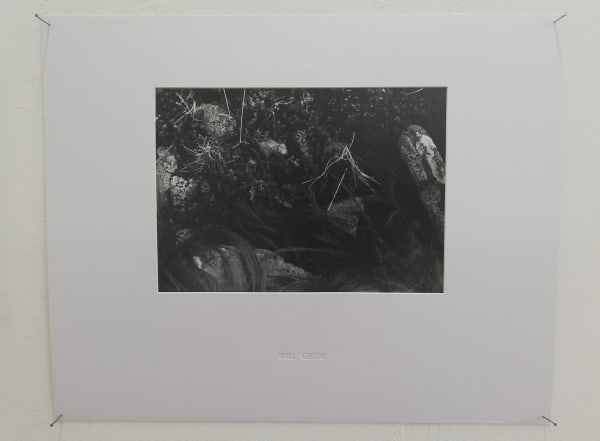 Rebecca Spencer, The Grass Will Grow Without Me (2)