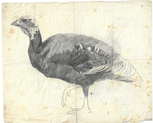 Pierre Adolphe Valette, Turkey