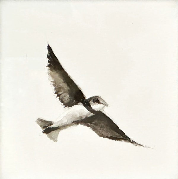 Liam Spencer, Sand Martin, 2025