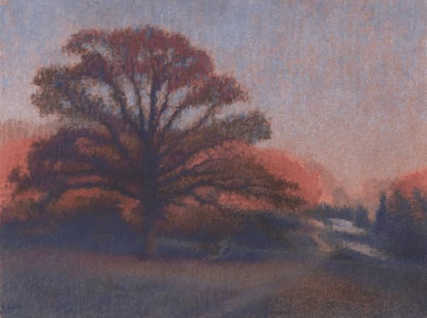 Mark Taylor, December Sunrise on the Common