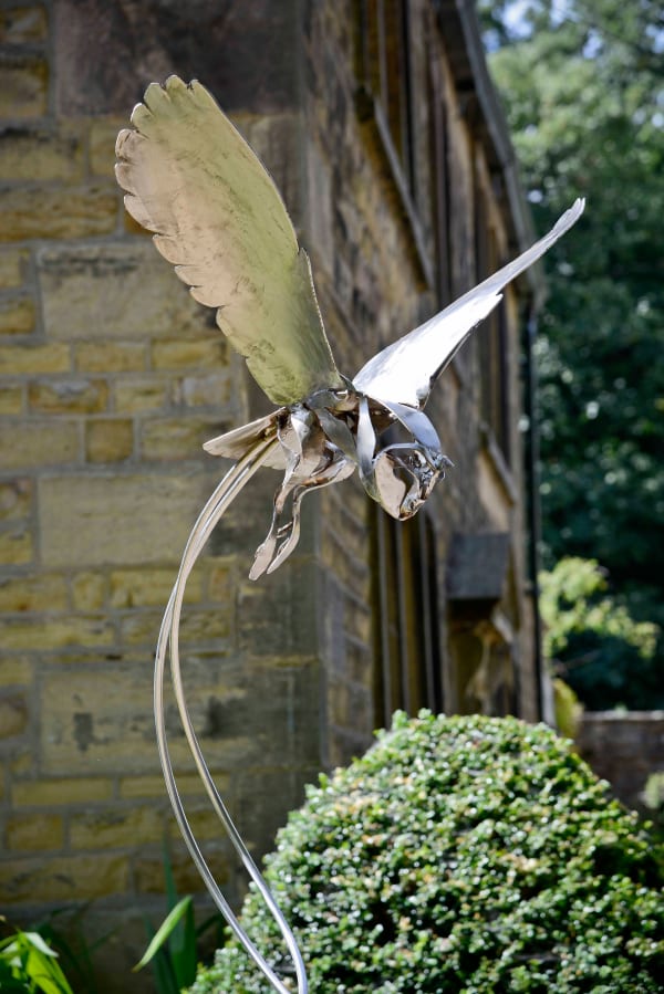 Clare Bigger, Barn Owl, 2018