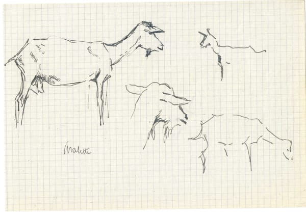 Pierre Adolphe Valette, Goats 7