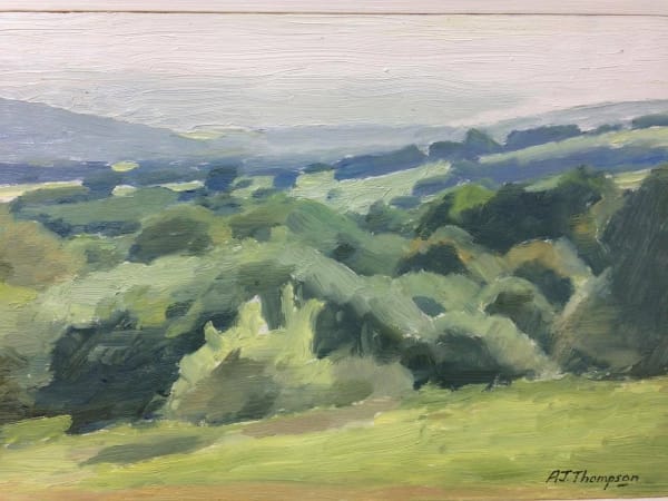 Alan James Thompson, Bushes in Sunlight