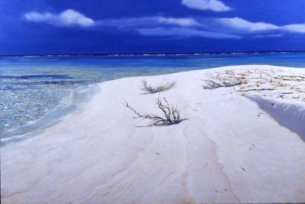 Fabio Aguzzi Maldive, 2002