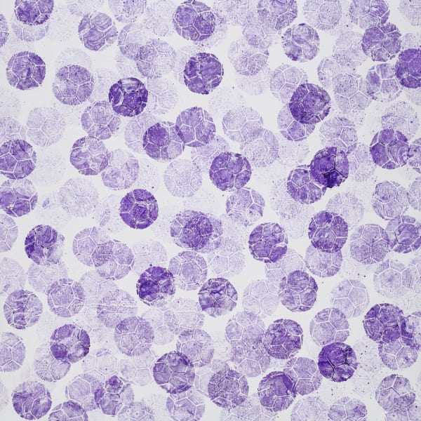 Marco Adamo, L'Arte nel Pallone a Firenze, 2024