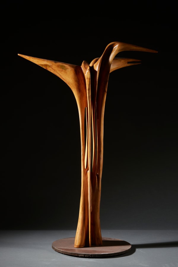 Pablo Atchugarry Foresta Incantata IV, 2024