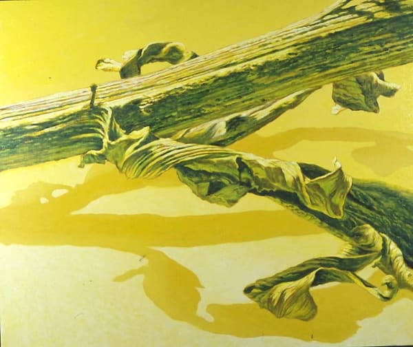 Fabio Aguzzi, Toni, Giallo, 2003