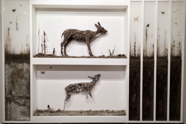 Enzo Fiore, Tavola Biologica n. 1, 2015