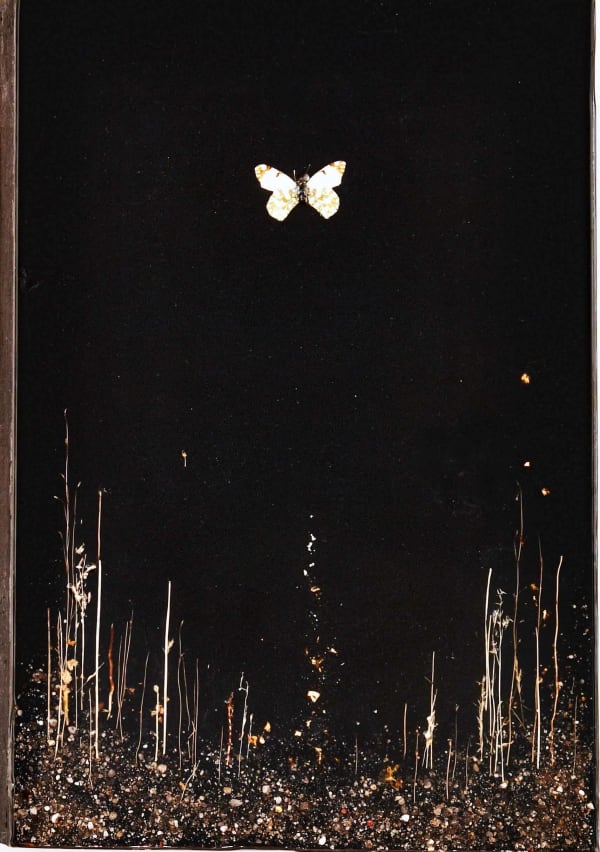 Enzo Fiore Inclusione Nera, 2017