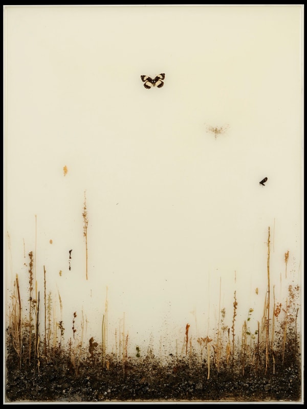 Enzo Fiore L' Inevitabile…, 2017