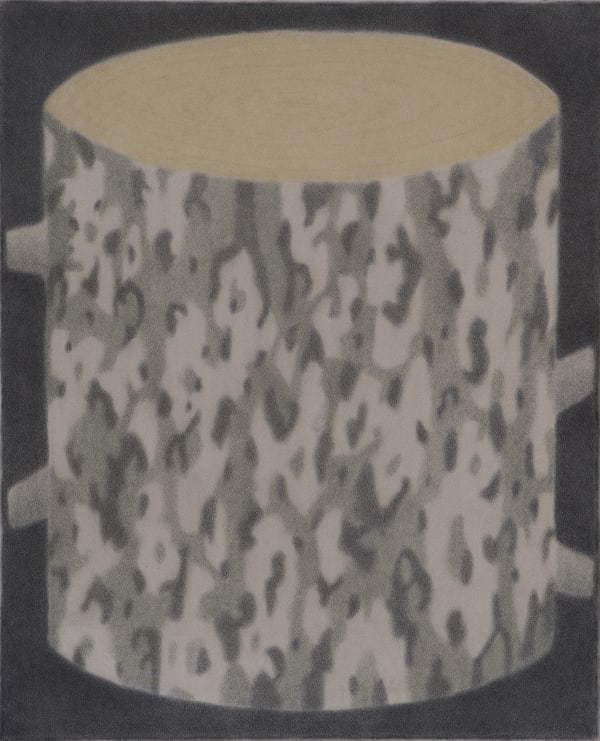 Johnny Izatt-Lowry, A Log, 2020