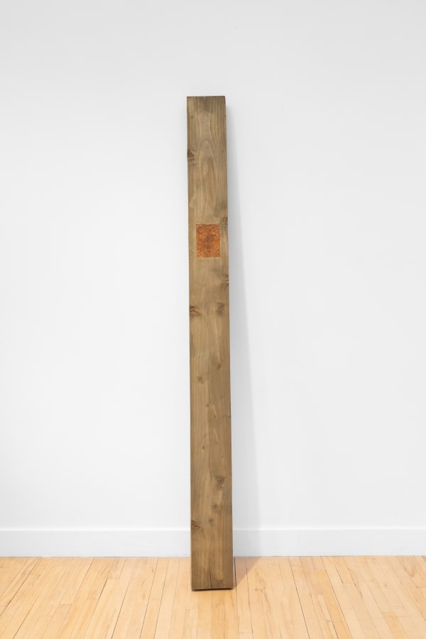 Coral Harding, Ritorno, 2024