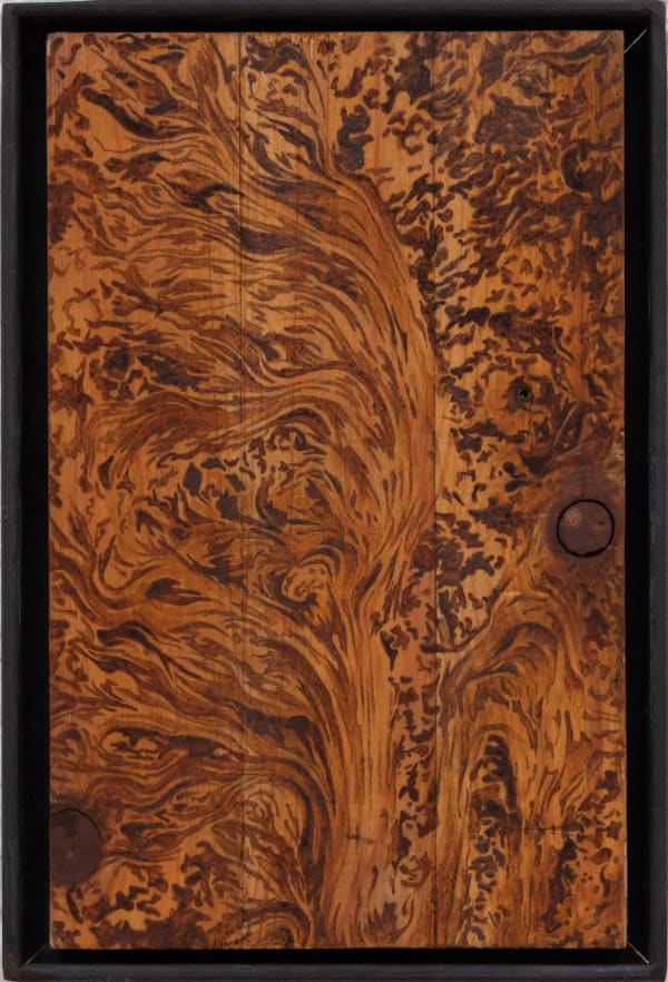 Coral Harding, Of the Wind, 2023