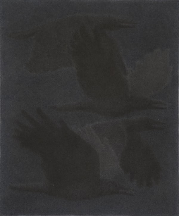 Johnny Izatt-Lowry, A Flock, at night, 2020