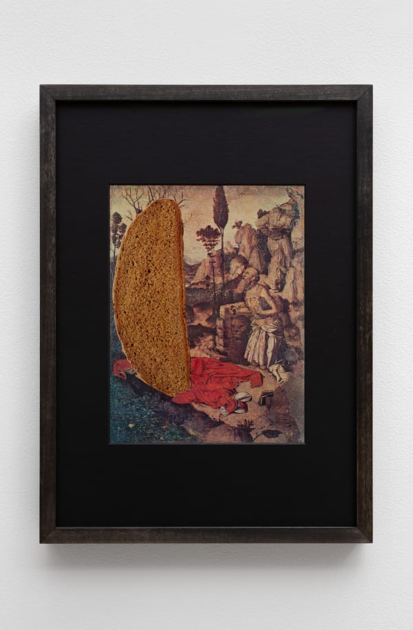 Greta Alfaro, Anchorite , 2020