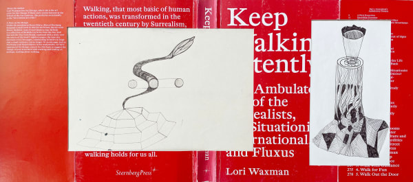 Jaro Varga, KEEP WALKING INTENTLY from the series City Diary, 2012-2022