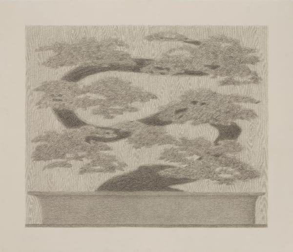 Johnny Izatt-Lowry
