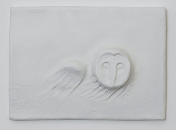 Fani Parali, Owl, 2021